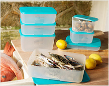 FreezerMate Essential Set