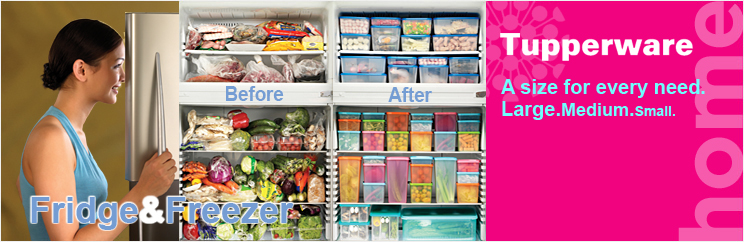 Fridge & Freezer