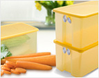 FridgeSmart Large