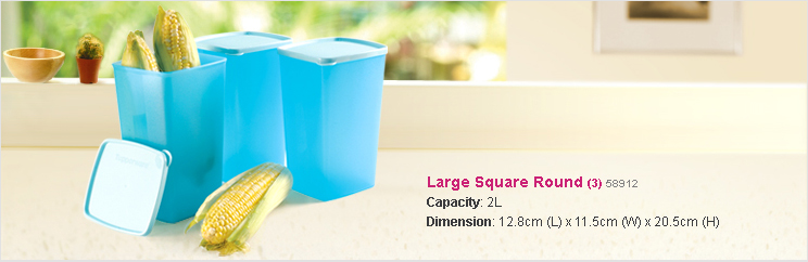 Medium Square Round